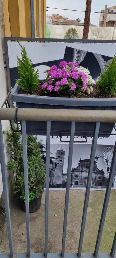 Bed and Breakfast Bitervo Viterbo Exterior foto