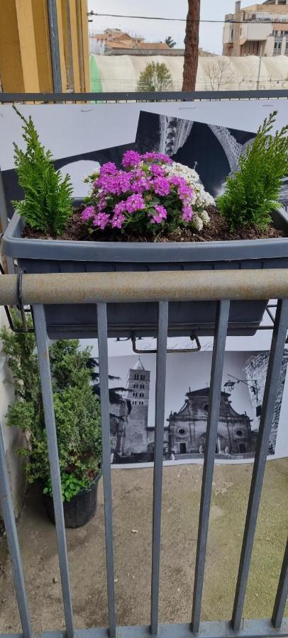 Bed and Breakfast Bitervo Viterbo Exterior foto